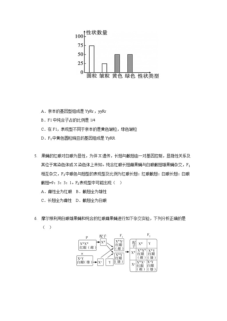 徐州三中2022-2023学年高一下3月月考生物试题第2页