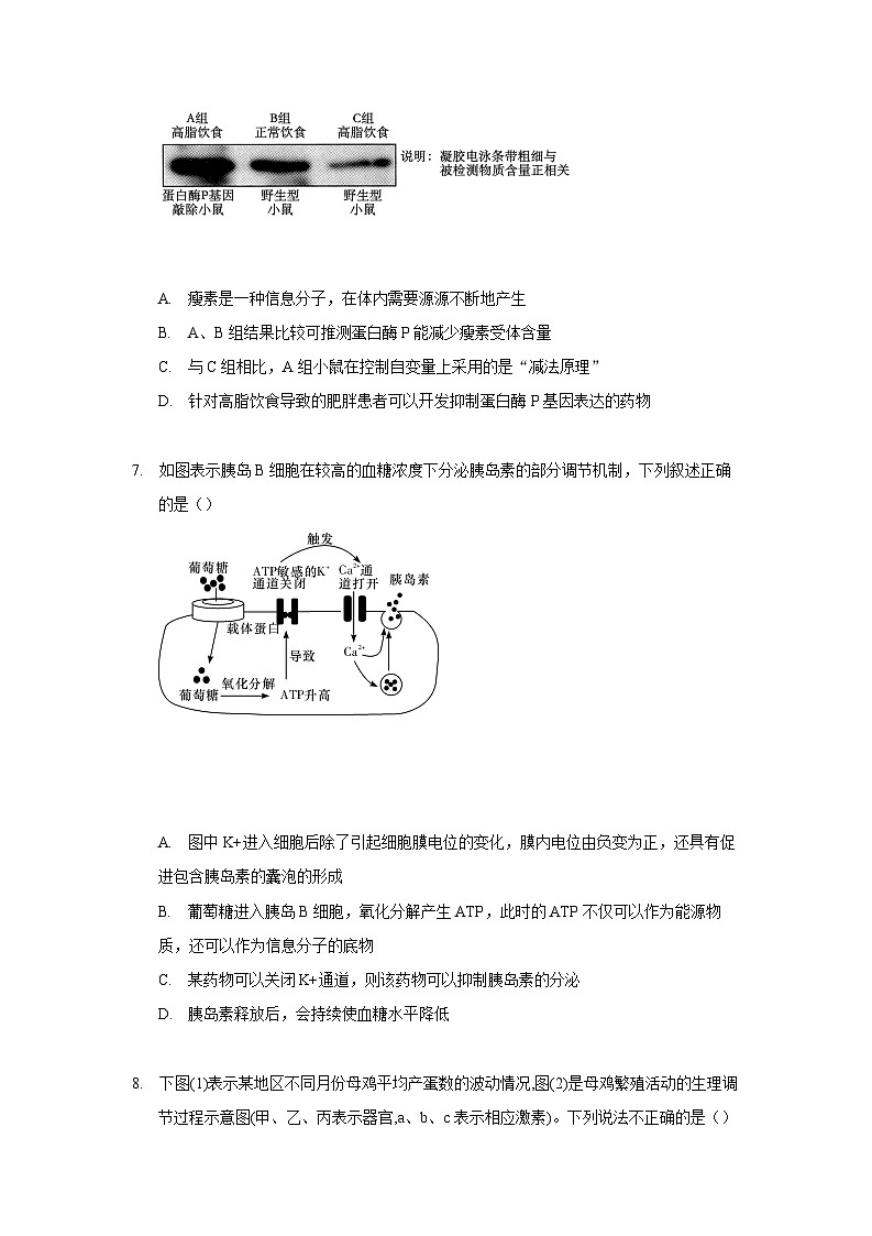 徐州三中2023——2024学年度第一学期高二年级期中调研生物试题第3页