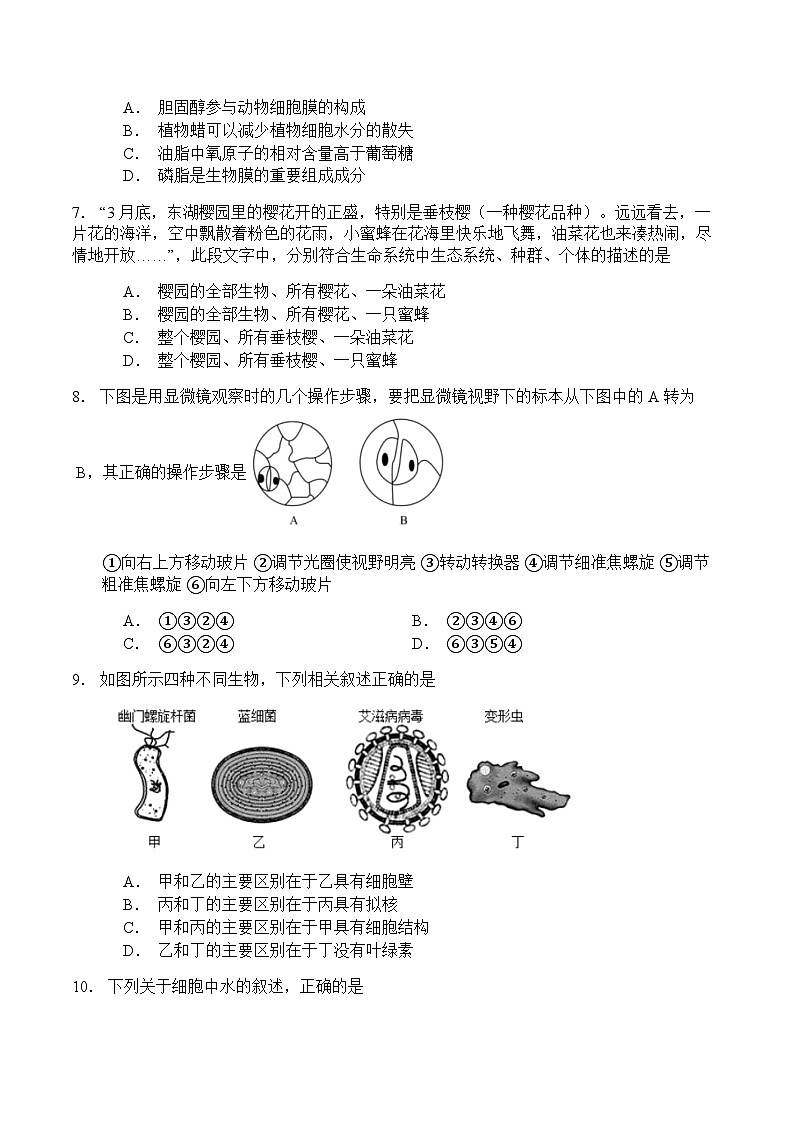 徐州三中2023~2024学年度高一年级第一学期9月学情调研生物试题第2页