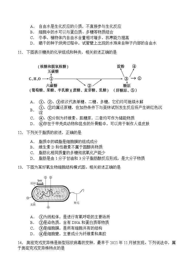 徐州三中2023~2024学年度高一年级第一学期9月学情调研生物试题第3页