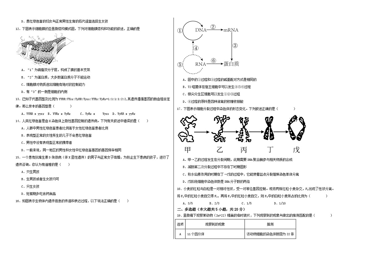 江苏省徐州市第三中学2023-2024学年高一下学期3月学情调研模拟练习生物试题（自编供学生使用）第2页