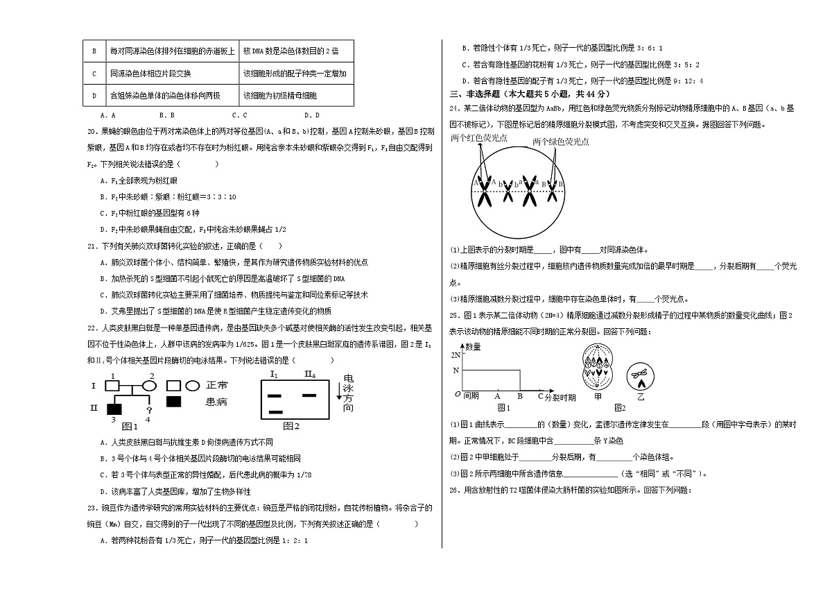 江苏省徐州市第三中学2023-2024学年高一下学期3月学情调研模拟练习生物试题（自编供学生使用）第3页
