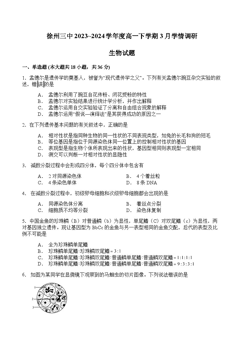 徐州三中2023-2024学年度高一下学期3月学情调研生物试题第1页