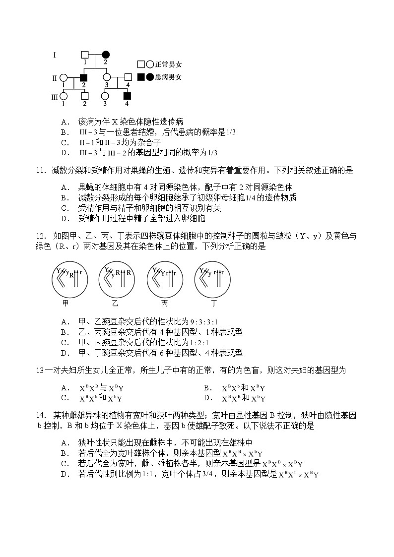 徐州三中2023-2024学年度高一下学期3月学情调研生物试题第3页