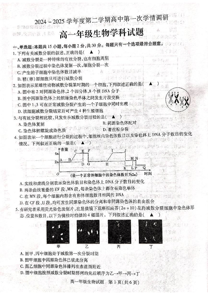 江苏省徐州市沛县2024-2025学年高一下学期3月月考生物试卷第1页