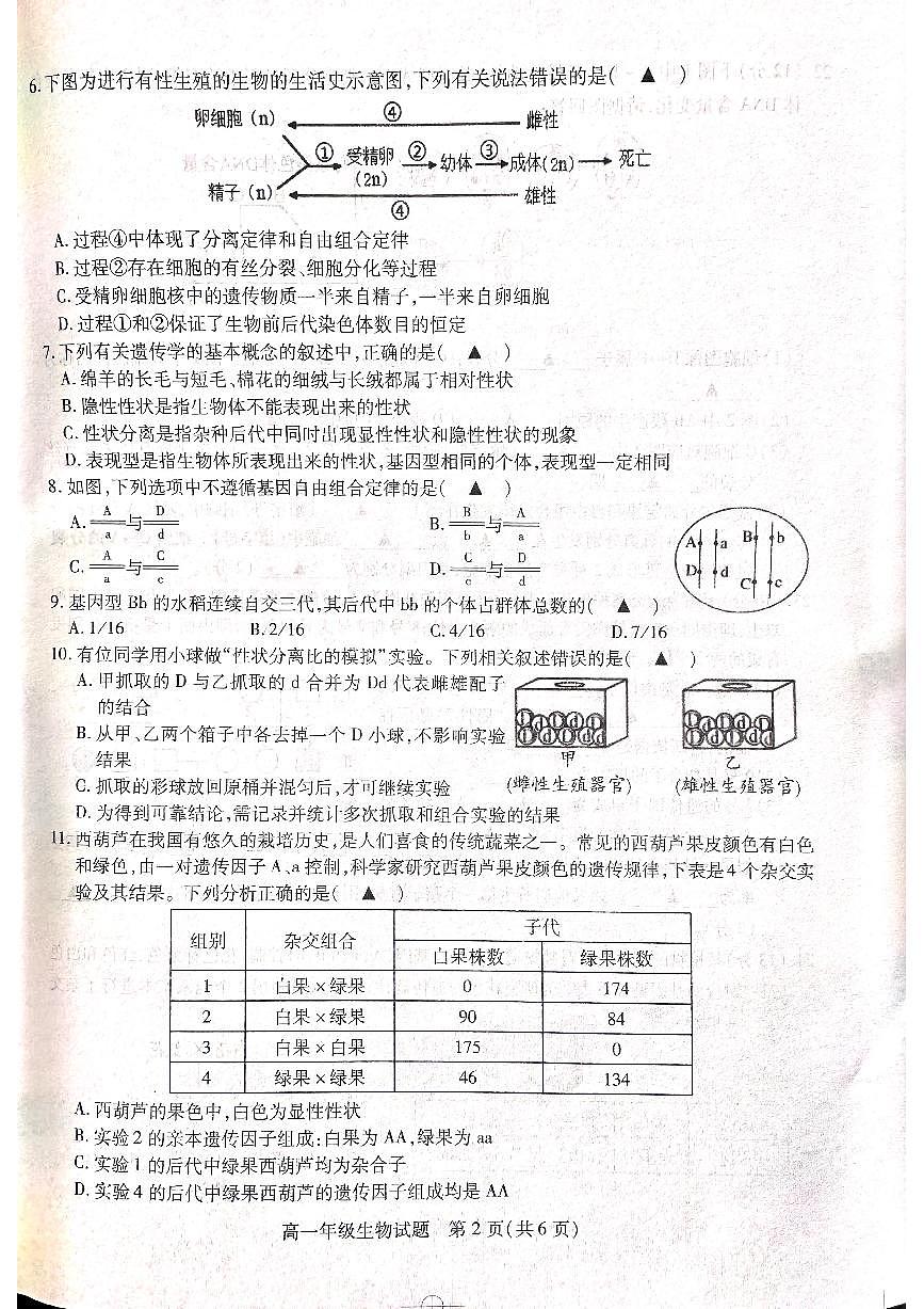 江苏省徐州市沛县2024-2025学年高一下学期3月月考生物试卷第2页