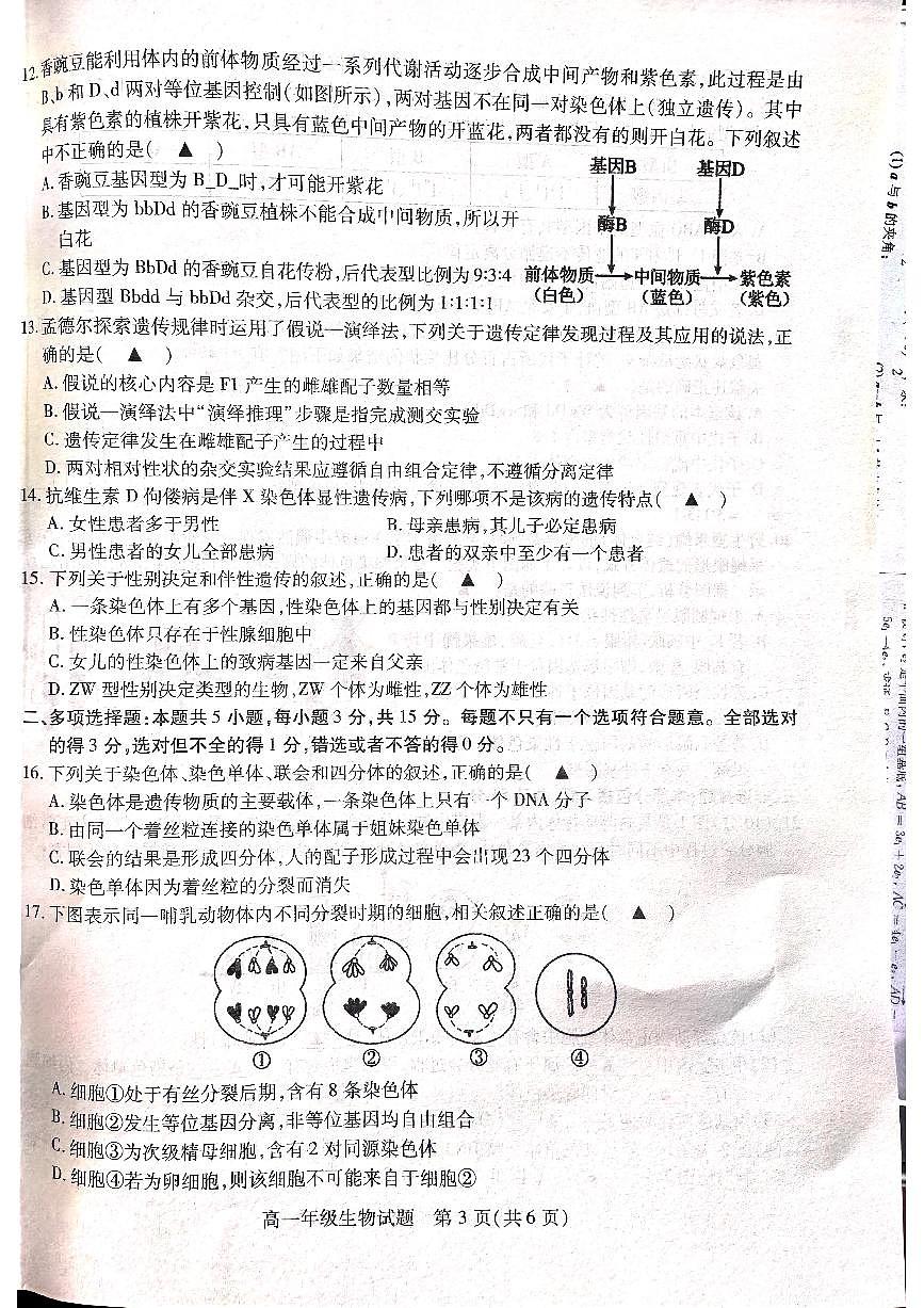 江苏省徐州市沛县2024-2025学年高一下学期3月月考生物试卷第3页