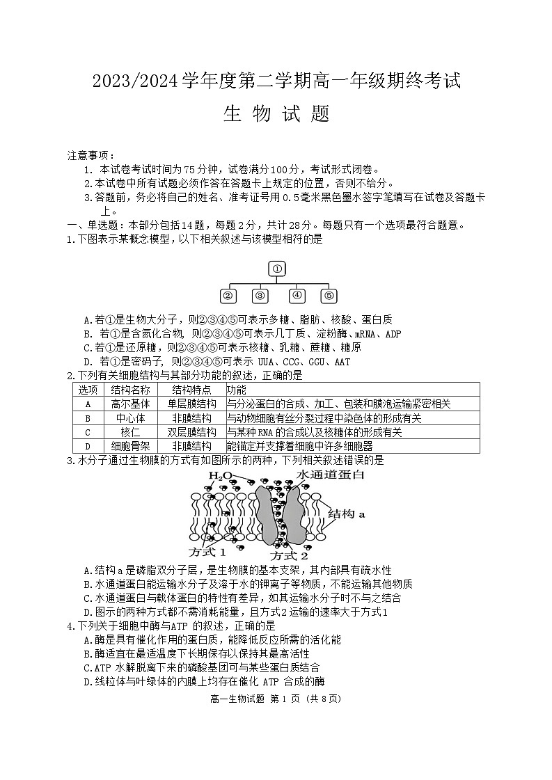 江苏省盐城市2023-2024学年高一下学期6月期末生物试题第1页