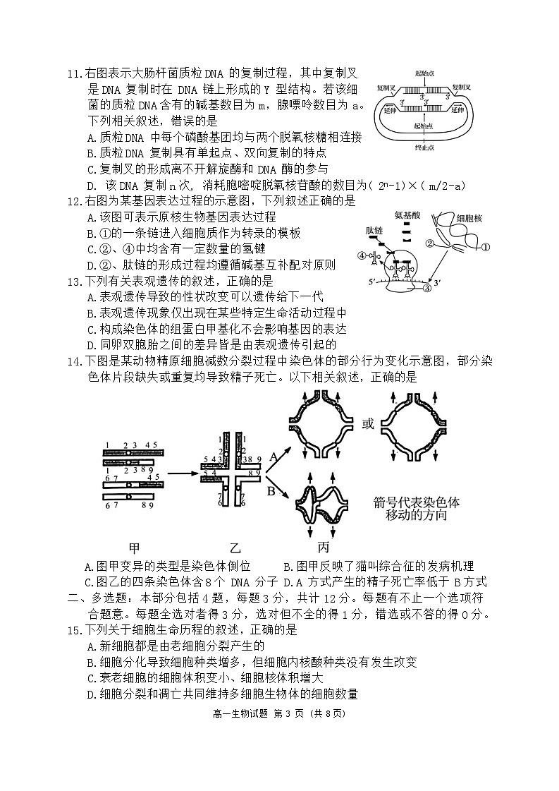 江苏省盐城市2023-2024学年高一下学期6月期末生物试题第3页