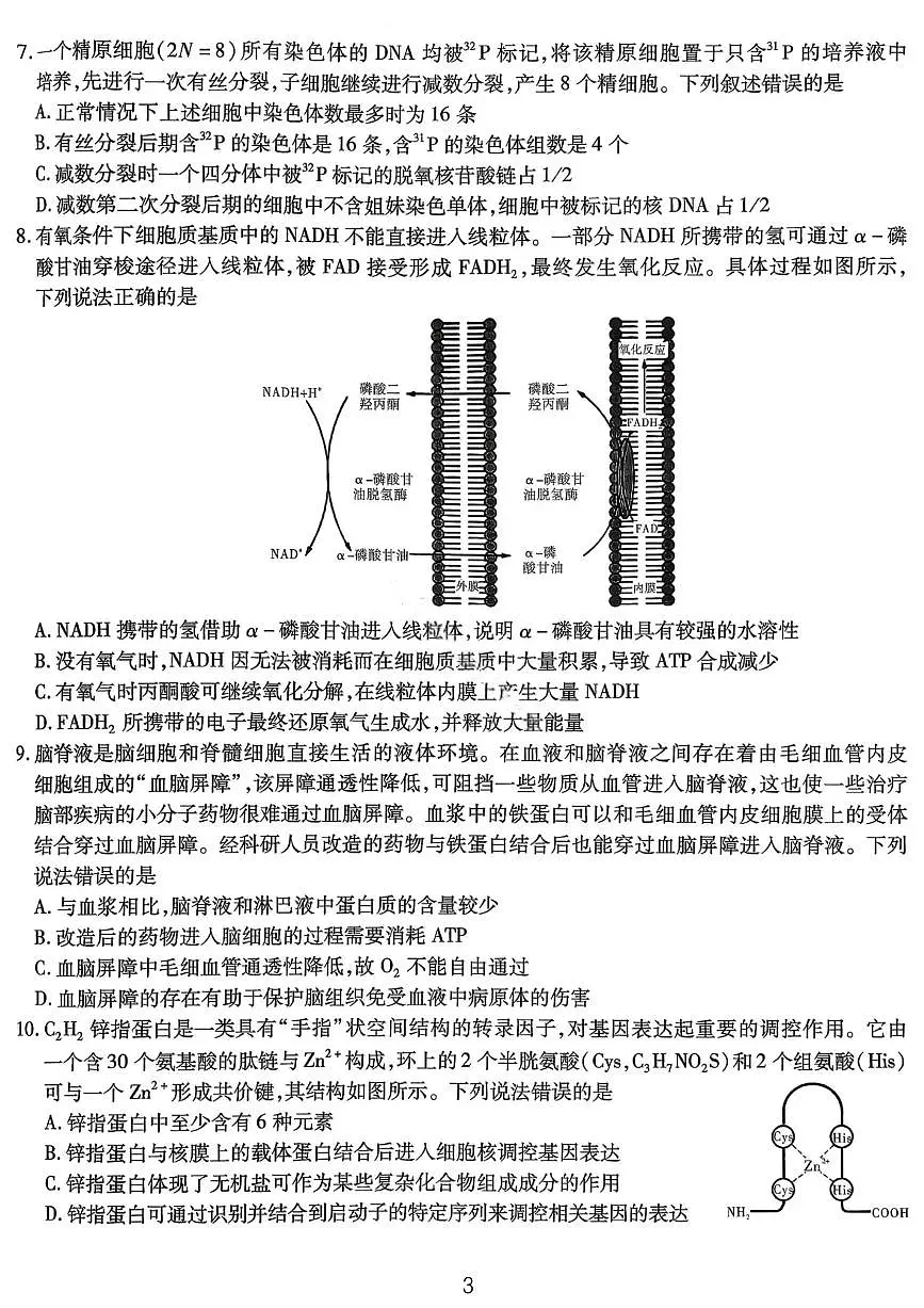 生物试卷-重庆市南开中学高2026届高三第四次质量检测第3页