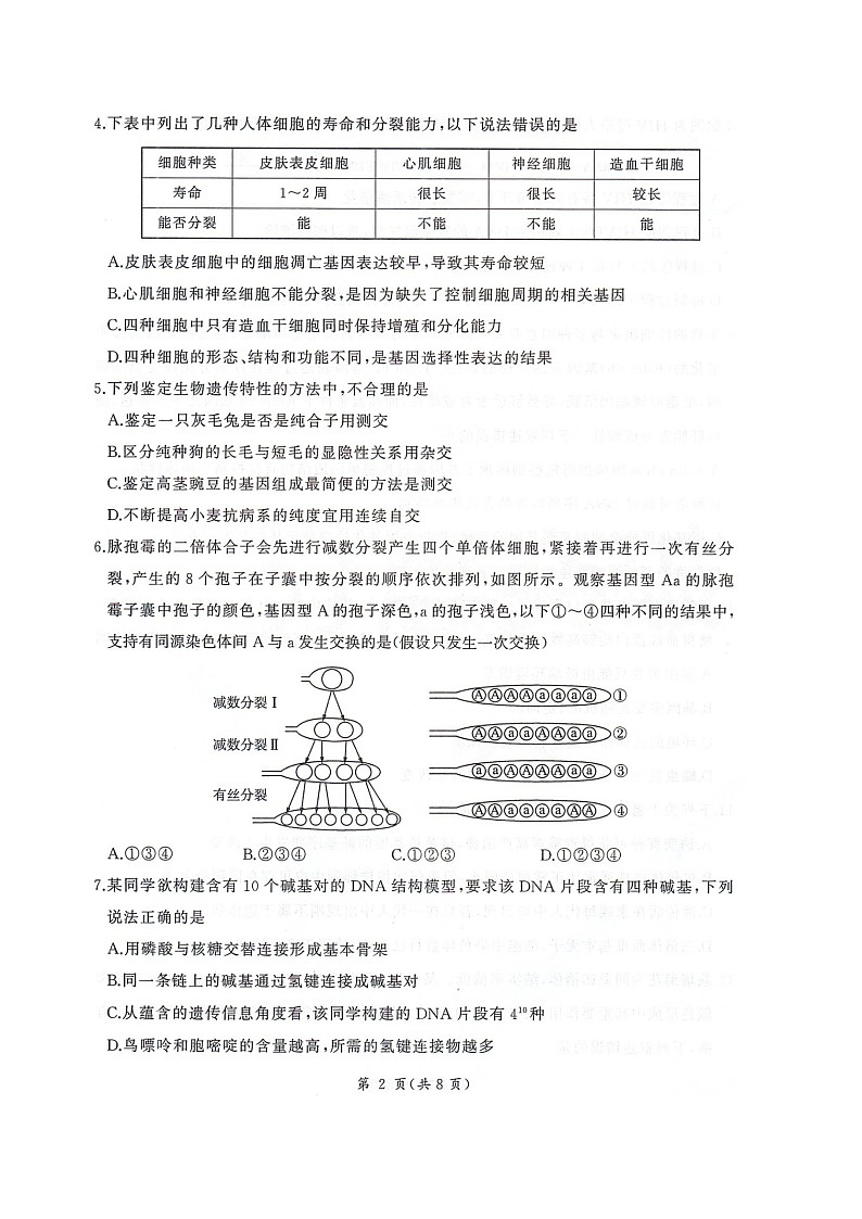 河北省邢台市卓越联盟2025-2026学年高三上学期12月考试生物试卷第2页