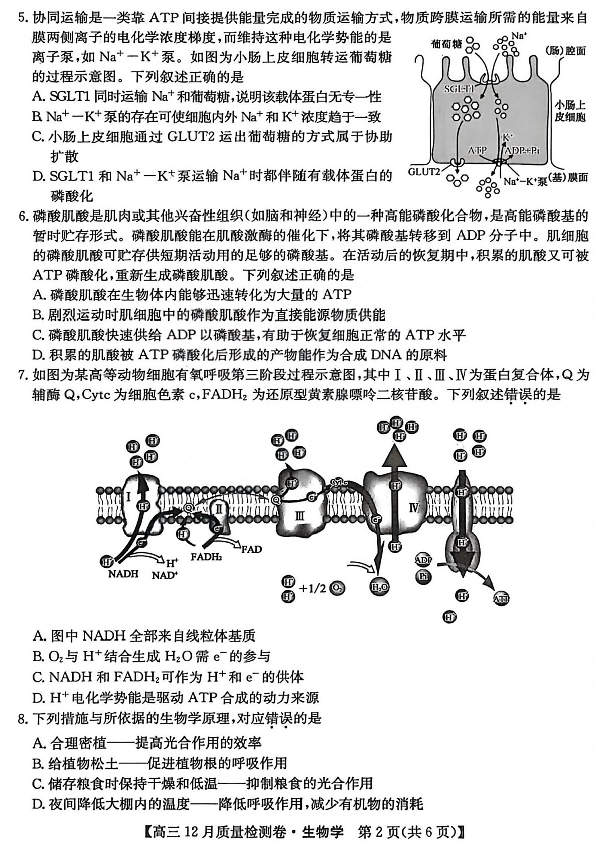 山西三晋卓越联盟2025-2026学年高三上学期12月考试生物试卷第2页