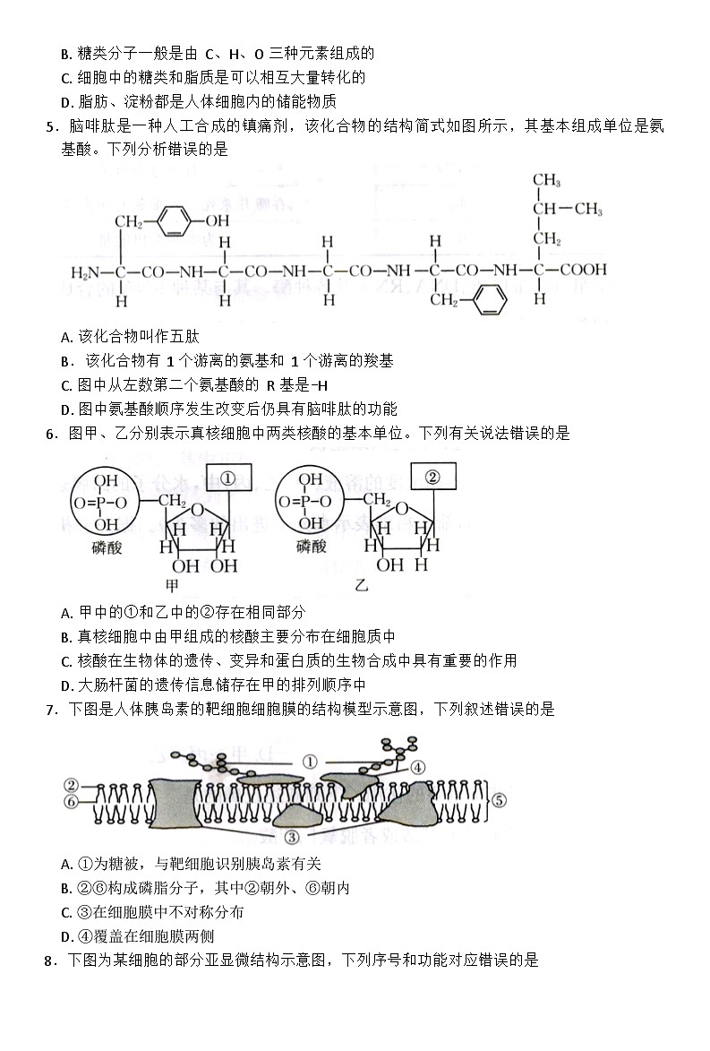 河北省邢台市卓越联盟2025-2026学年高一上学期11月期中考试生物试卷第2页