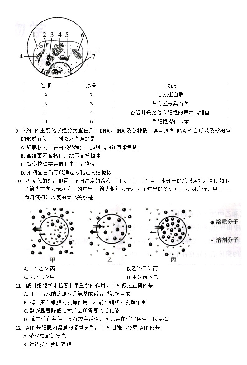 河北省邢台市卓越联盟2025-2026学年高一上学期11月期中考试生物试卷第3页