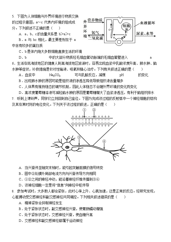 黑龙江省大庆铁人中学2025-2026学年高二上学期11月期中考试生物试卷第2页