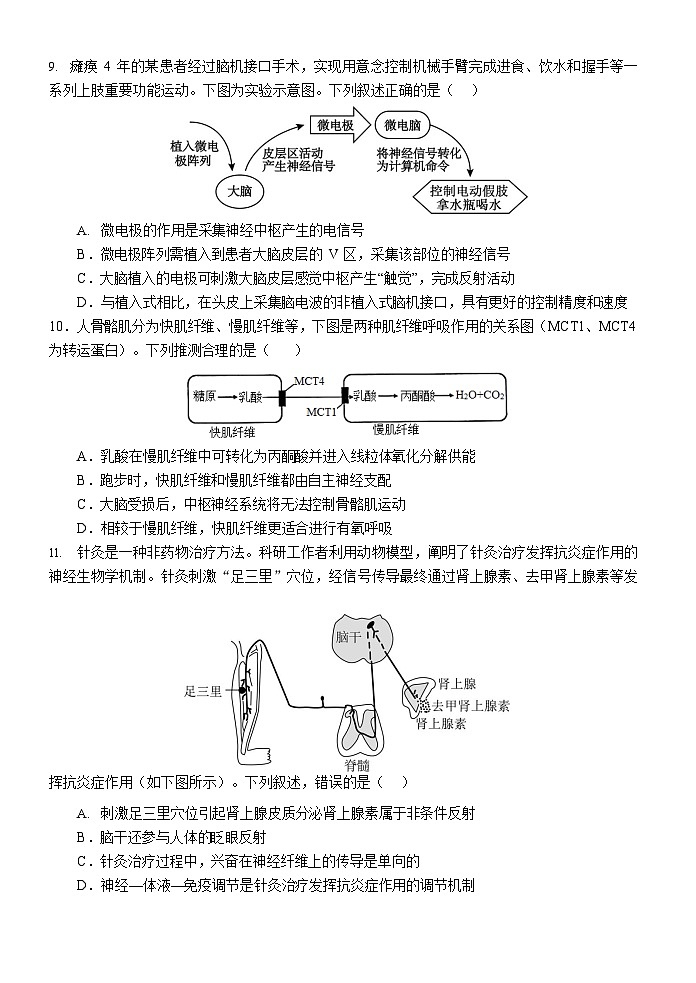 黑龙江省大庆铁人中学2025-2026学年高二上学期11月期中考试生物试卷第3页