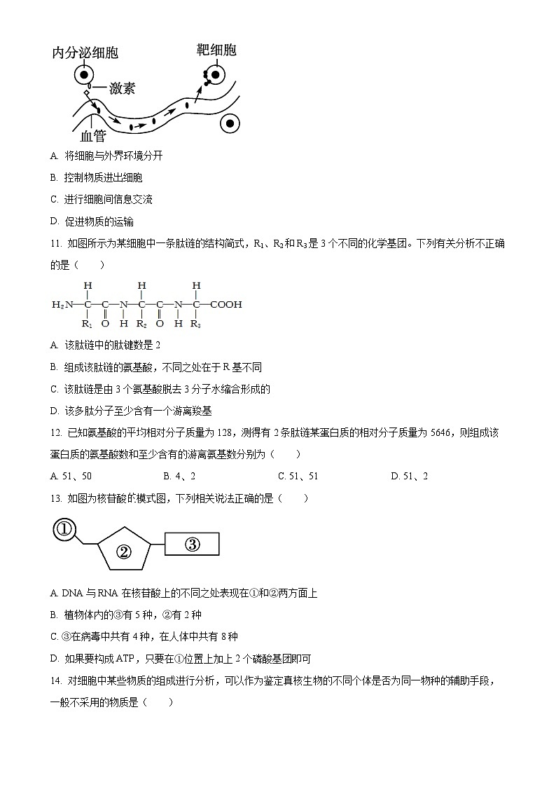 精品解析：四川省南充市嘉陵第一中学2025-2026学年高一上学期第二次月考生物试题（原卷版）第3页