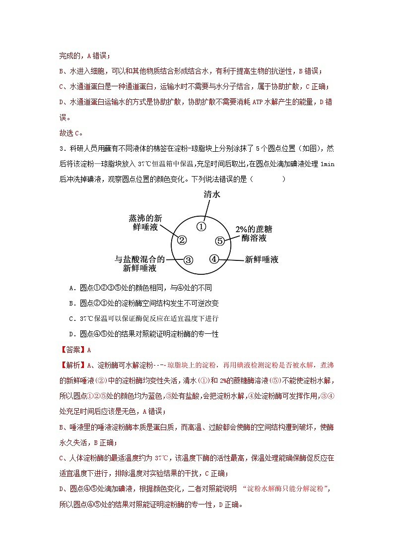 惠州市实验中学2026届高三生物12月阶段性检测（解析版）第2页