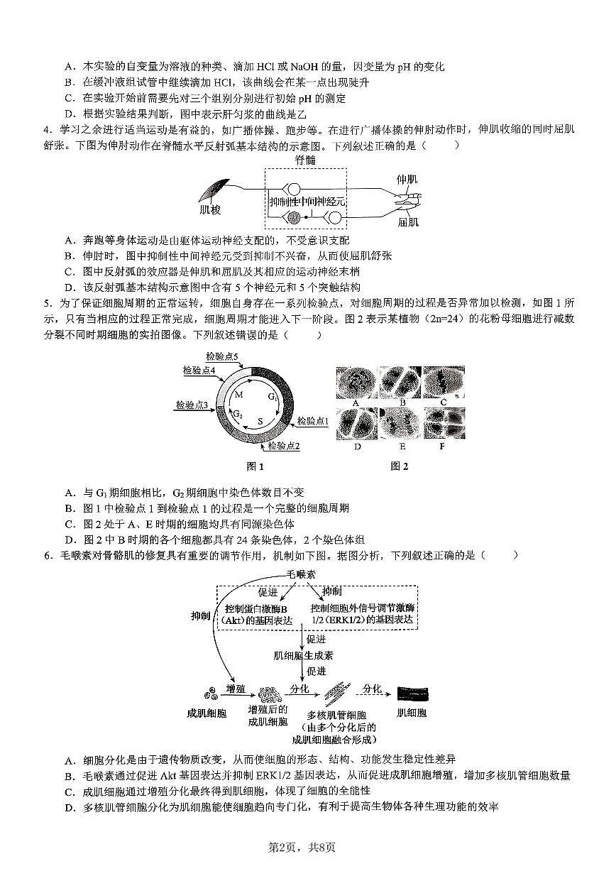 生物育才中学25-26学年上高三12月月考试卷第2页