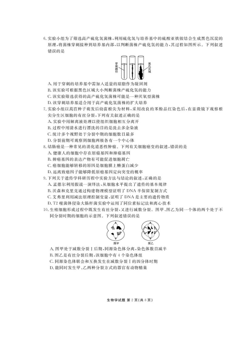 广东省衡水金卷2026届高三上学期11月联考试题 生物 含解析第2页
