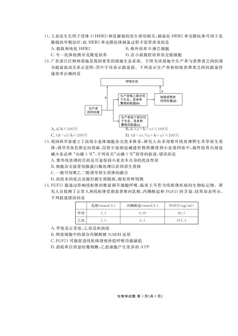 广东省衡水金卷2026届高三上学期11月联考试题 生物 含解析第3页