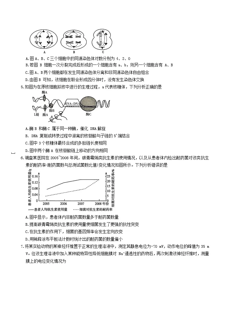 河北省承德市九校2026届高三上学期期中联考生物试卷（Word版附答案）第2页