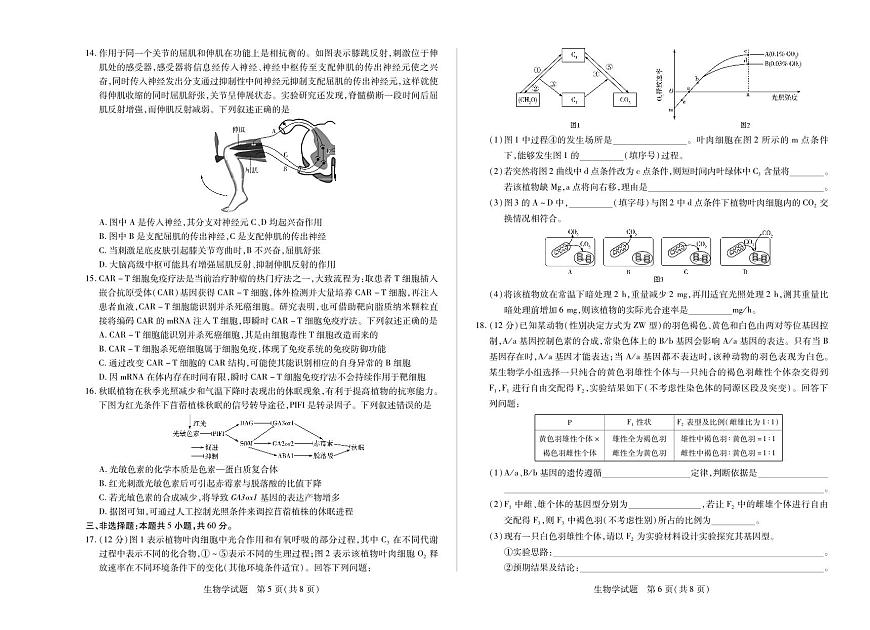 天一大联考湖南省2025-2026学年（上）高二年级期中考试生物学试卷（含答案）第3页