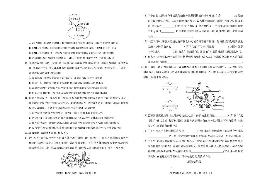 天一大联考河南省2025-2026学年高二年级上学期阶段性测试（一）生物学试卷B卷（含答案）第3页