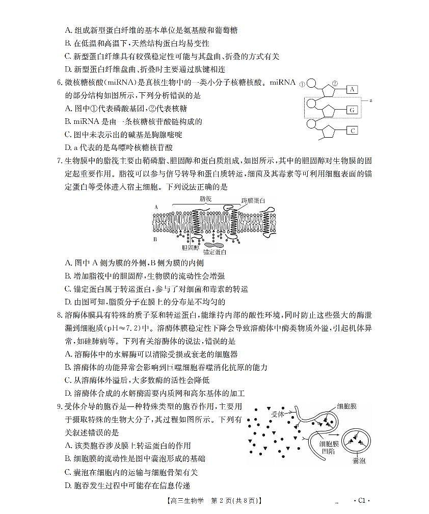 金太阳辽宁省2026届高三上学期10月联考（26-66C）生物试卷（含答案）第2页
