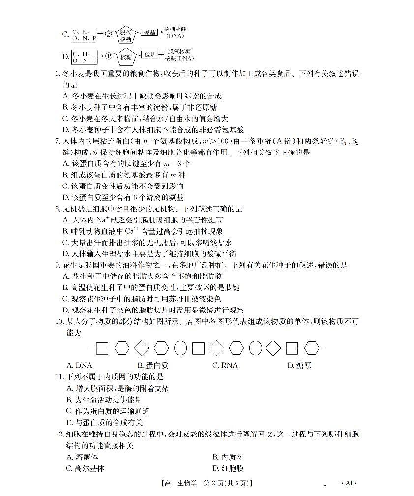 金太阳辽宁省2025-2026学年高一上学期11月联考（26-108A）生物试卷（含答案）第2页