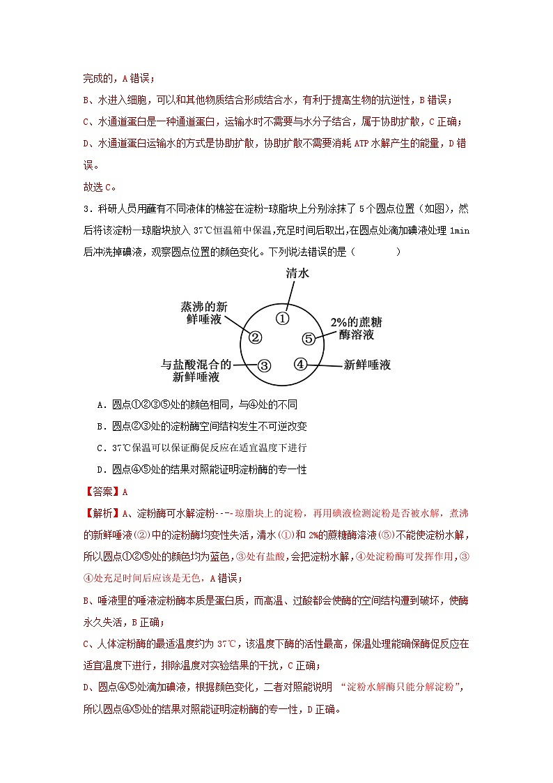 广东省惠州市实验中学2026忆高三上学期12月阶段性检测试题  生物   Word版含解析第2页