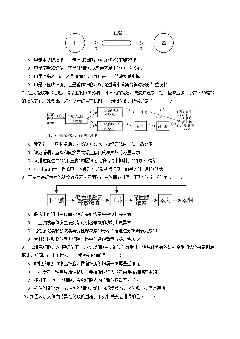 2025-2026学年高二生物第三次月考卷【测试范围：人教版选必1~选必2第2章】（考试版）第3页