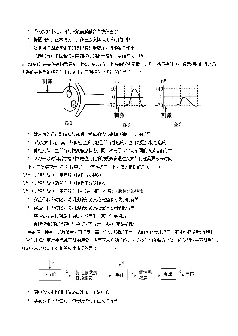 2025-2026学年高二生物第三次月考卷【测试范围：人教版选必1~选必2第2章】（考试版）第2页