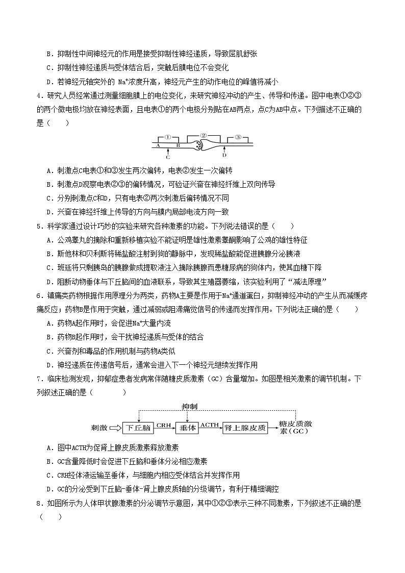 2025-2026学年高二生物第三次月考卷【测试范围：人教版选必1~选必2第2章第1节】（考试版）第2页