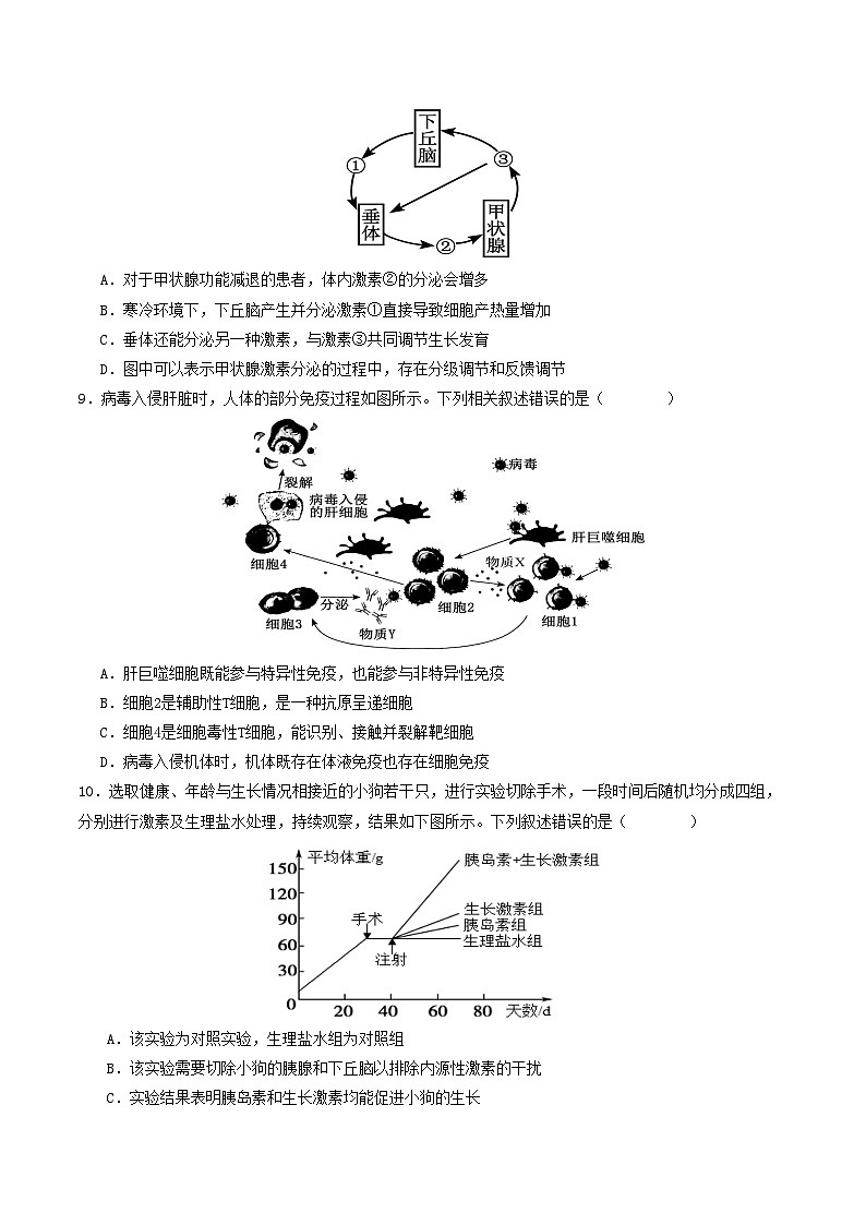 2025-2026学年高二生物第三次月考卷【测试范围：人教版选必1~选必2第2章第1节】（考试版）第3页