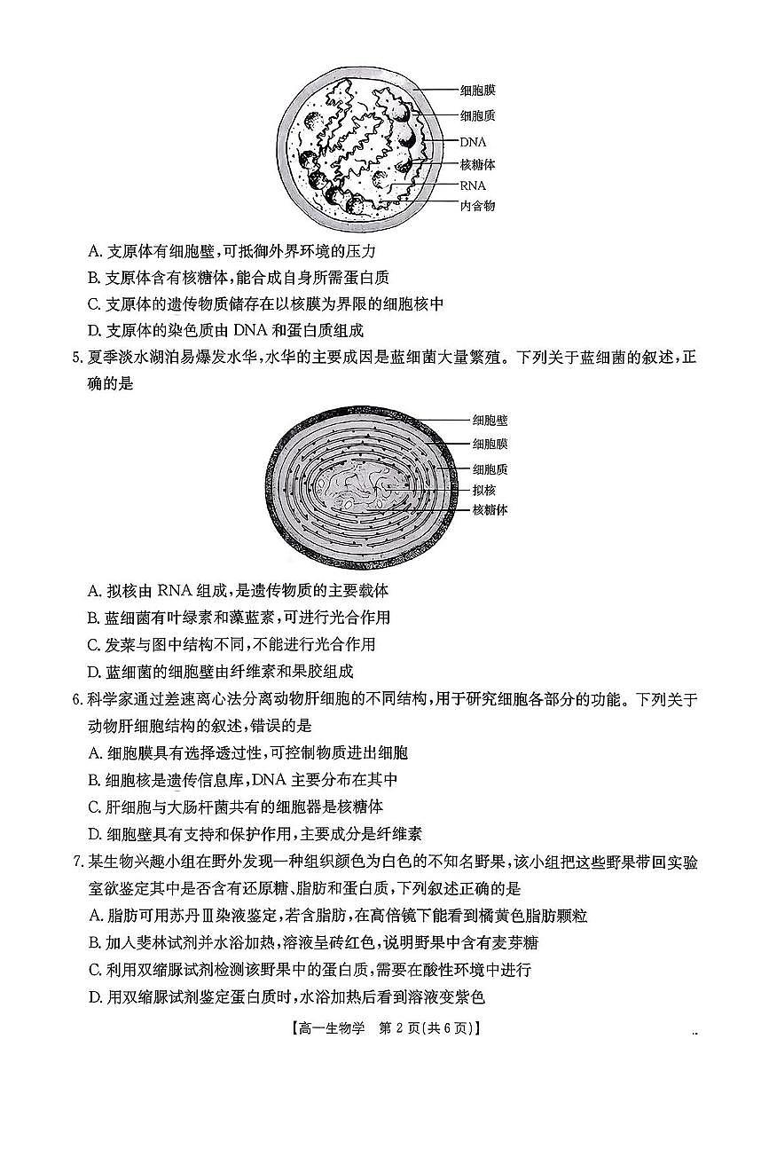 广东省揭阳市部分学校2025-2026学年高一上学期11月期中联考生物试题（PDF版附答案）第2页