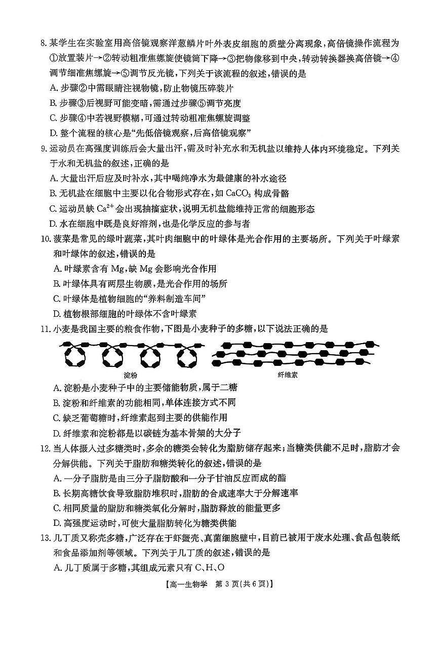 广东省揭阳市部分学校2025-2026学年高一上学期11月期中联考生物试题（PDF版附答案）第3页