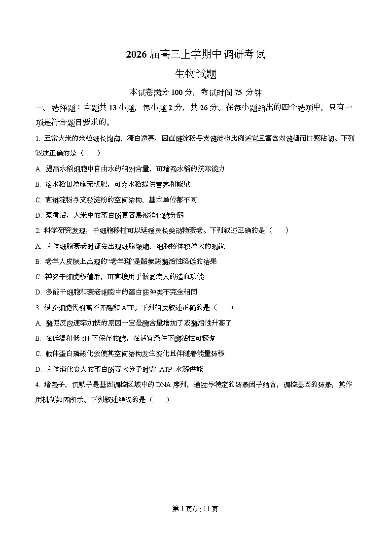 河北省保定市定州市河北定州中学2026届高三上学期11月期中生物试题（原卷版）第1页