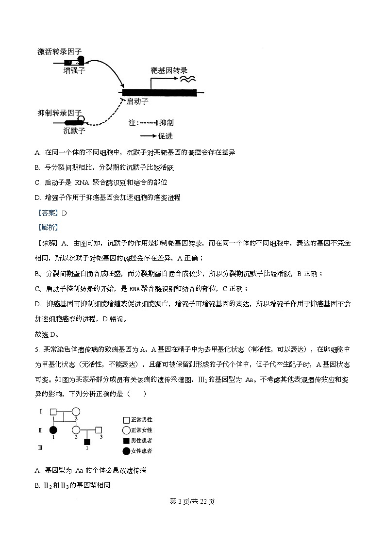 河北省保定市定州市河北定州中学2026届高三上学期11月期中生物试题 Word版含解析第3页