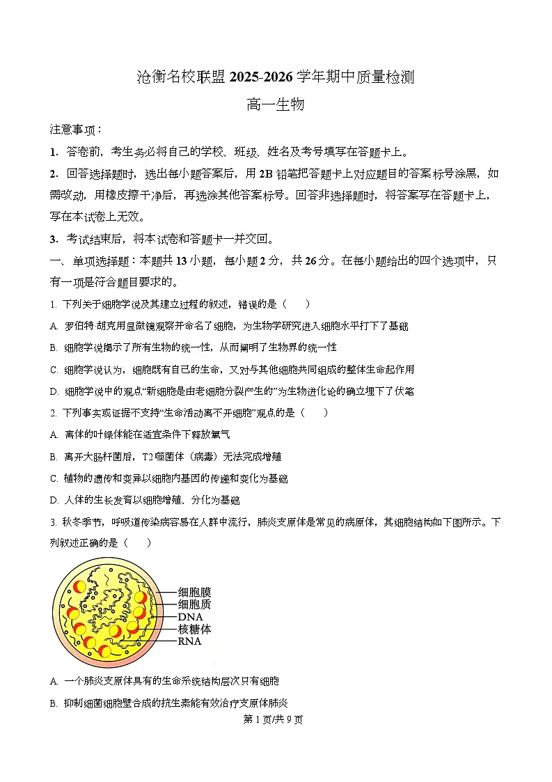 河北省沧州市泊头市八县联考2025-2026学年高一上学期11月期中生物试题（原卷版）第1页
