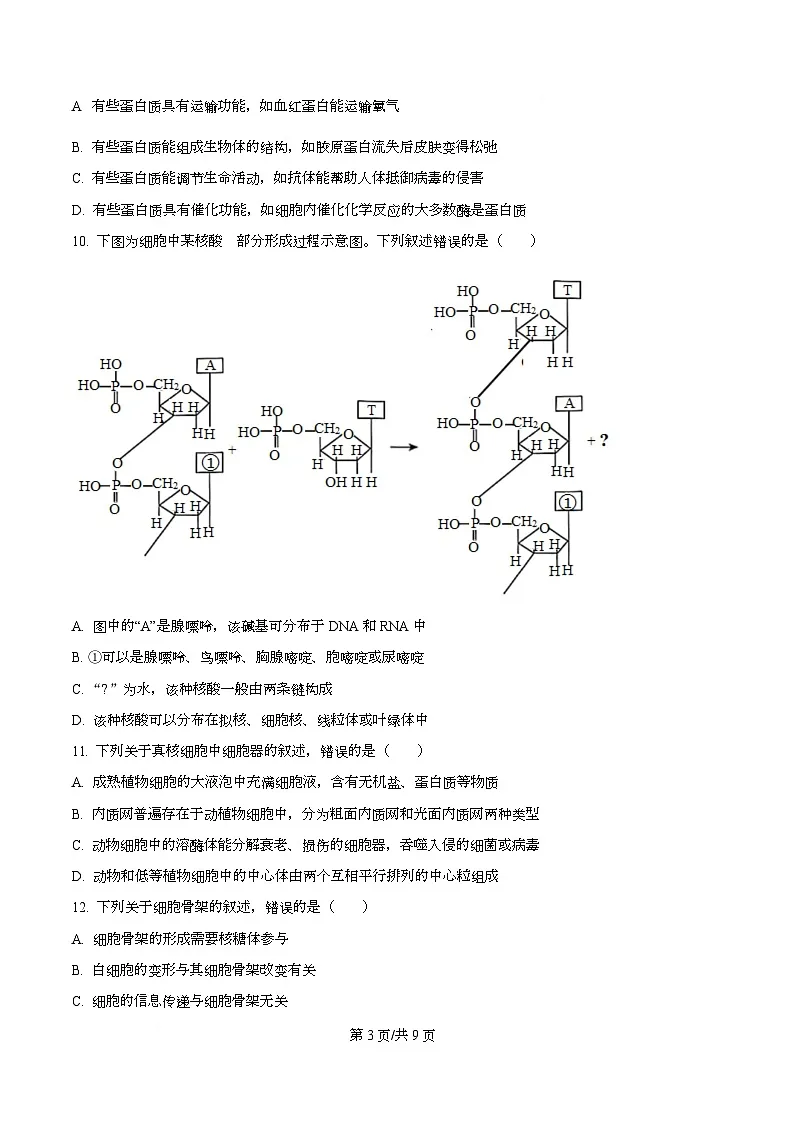 河北省沧州市泊头市八县联考2025-2026学年高一上学期11月期中生物试题（原卷版）第3页