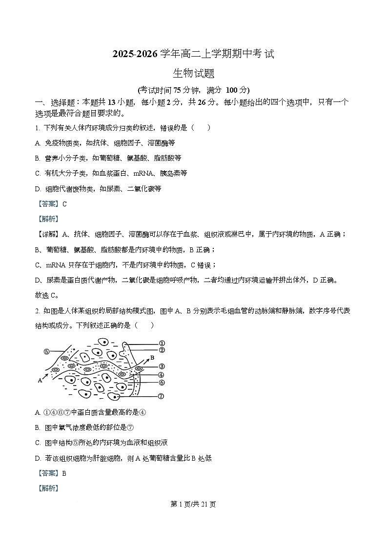 河北省沧州市四校联考2025-2026学年高二上学期11月期中生物试题 Word版含解析第1页
