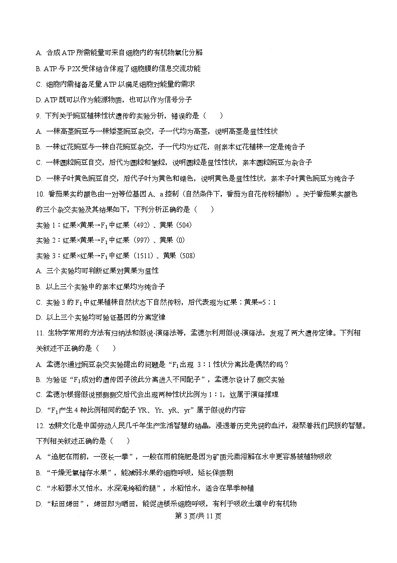 河北省衡水市冀州区河北冀州中学2026届高三上学期11月期中生物试题（原卷版）第3页