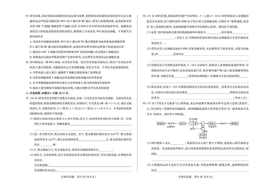 河南省焦作市普通高中2025-2026学年高二上学期期中考试生物试题（PDF版附解析）第3页