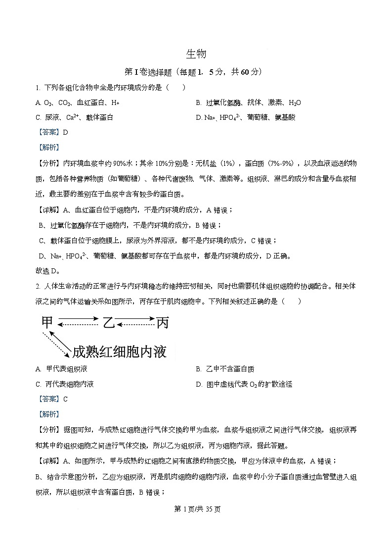 四川省成都市成华区某校2025-2026学年高二上学期期中生物试卷 Word版含解析第1页