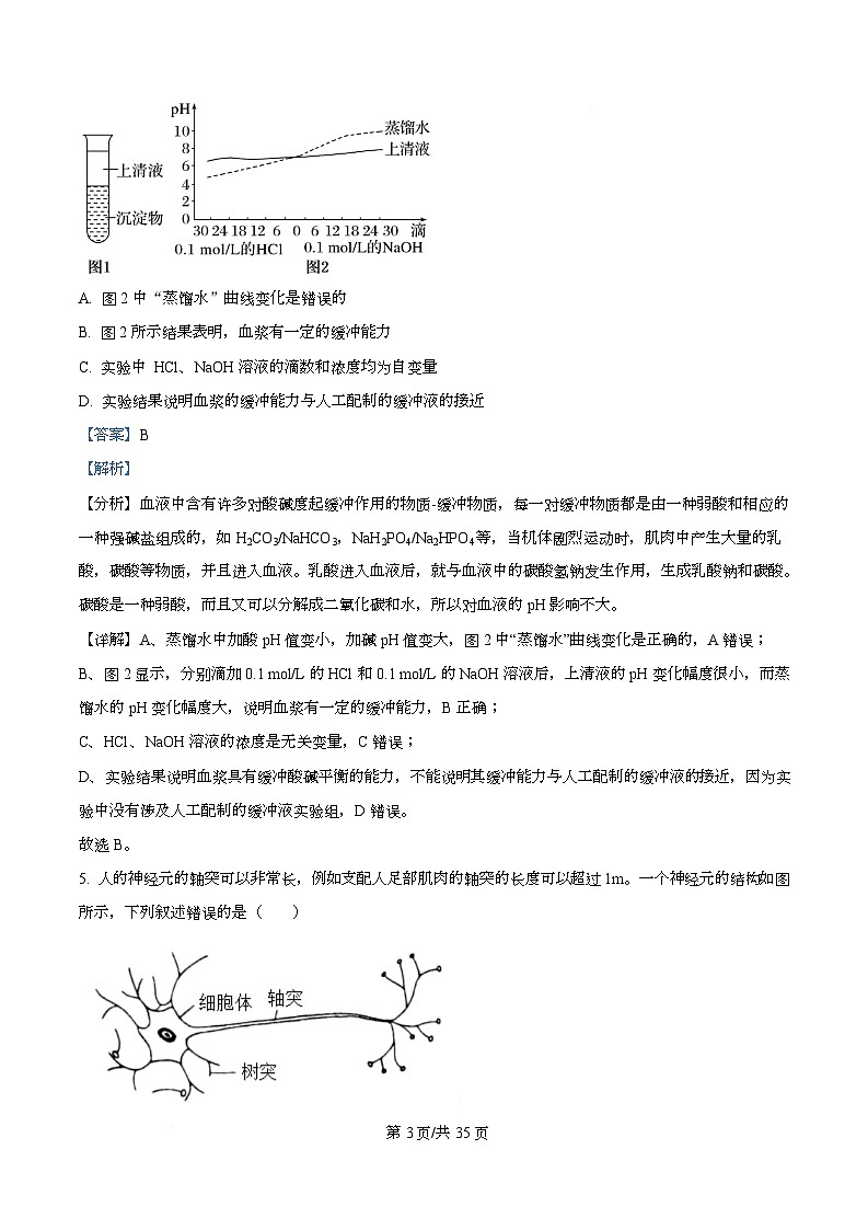 四川省成都市成华区某校2025-2026学年高二上学期期中生物试卷 Word版含解析第3页