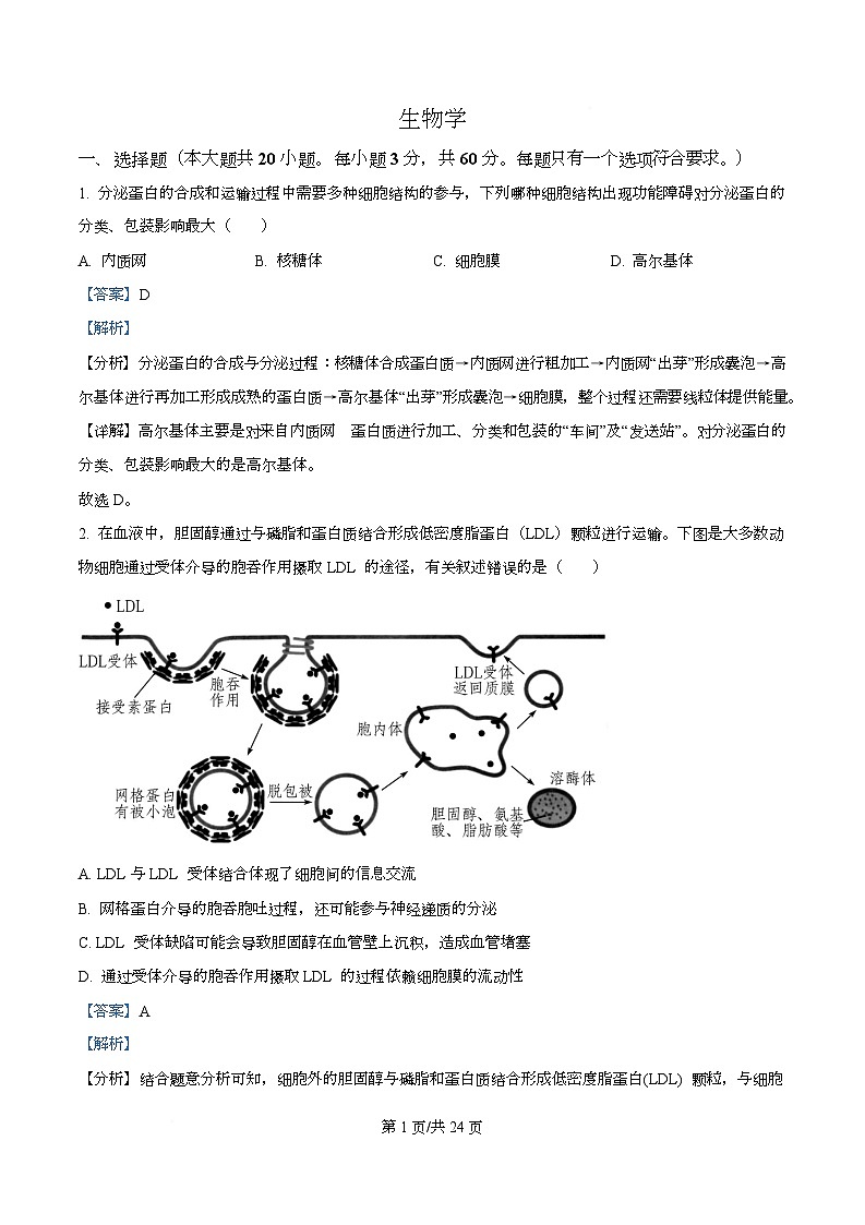 四川省成都市成华区某校2026届高三上学期期中生物试卷 Word版含解析第1页