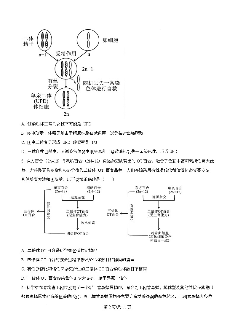 四川省成都市成华区某校2026届高三上学期期中生物试卷（原卷版）第2页