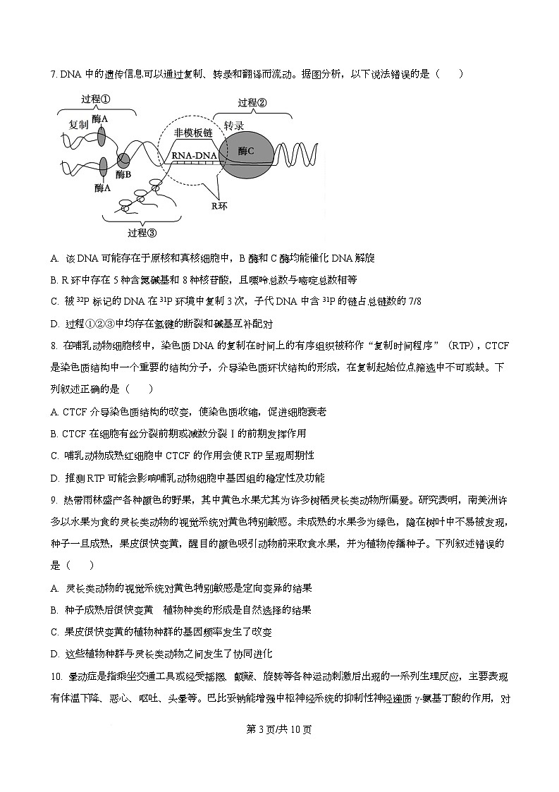 四川省成都市石室成飞中学2026届高三上学期11月月考生物试题（原卷版）第3页