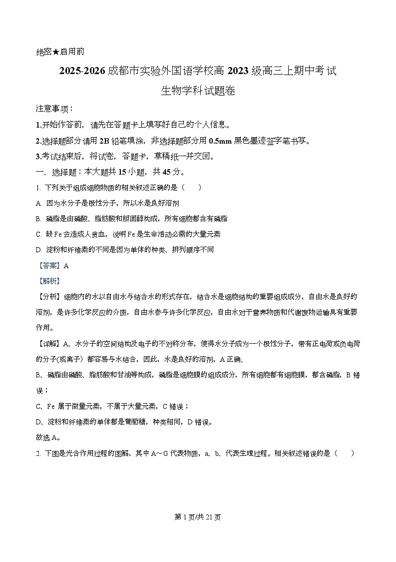 四川省成都市实验外国语学校2026届高三上学期期中考试生物试题 Word版含解析第1页